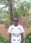 Stephen alulu, 20 лет, Nairobi
