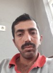 Tolgay Talas , 36 лет, Ankara