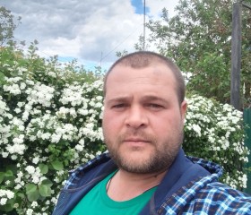 Евгений Ласлов, 31 год, Naaldwijk