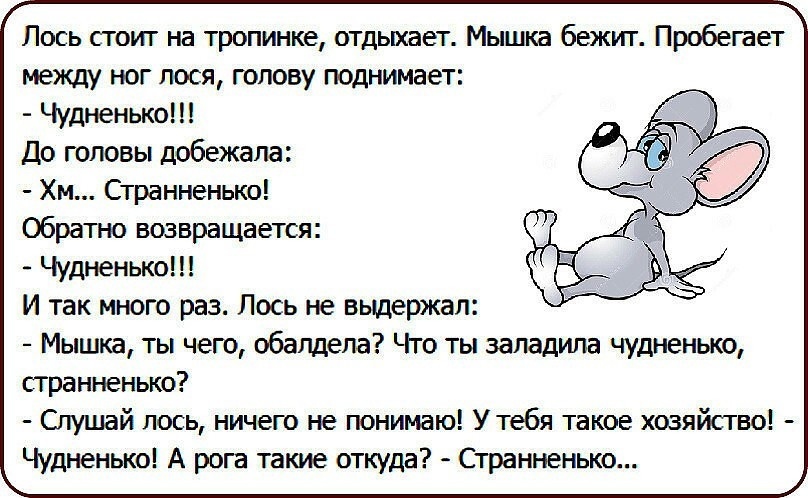 Приколы анекдоты смешные в картинках, для денег