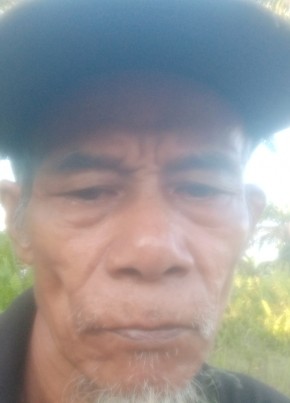 Herkulanus daem, 64, Malaysia, Simanggang