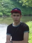 Шамиль, 26 лет, Москва