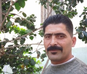 ابراهيم, 37, Port Said
