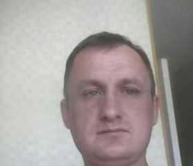 Антон, 42 года, Архангельск