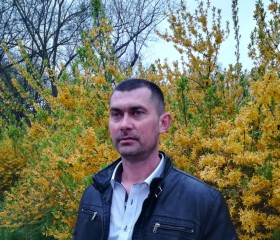 Руслан, 41 год, Warszawa