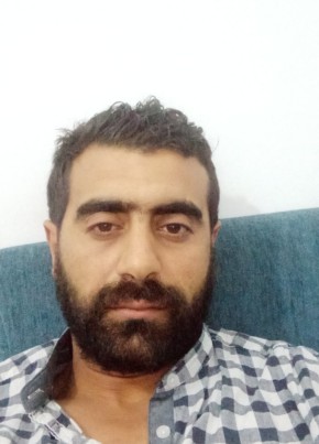 Aymen, 37, تونس, تونس