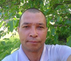 Vlad, 54 года, Iași