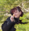 Лана