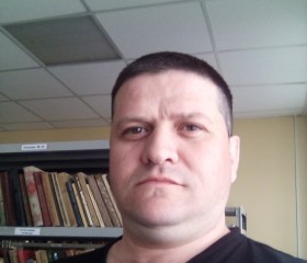 Михаил, 41 год, Йошкар-Ола