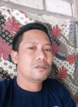 andy, 32 года, Kota Surabaya