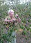 Антонина, 66 лет, Новоаннинский