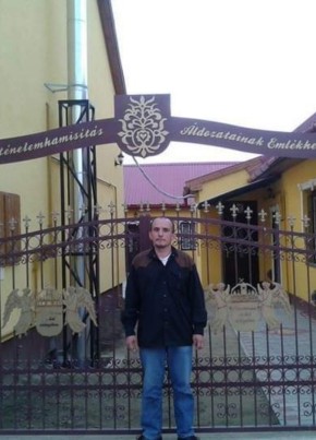Tamás, 49, Hungary, Tamasi
