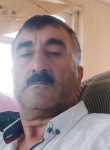 Seyran, 56 лет, Bakı