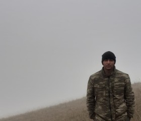 Salam, 30, Terter