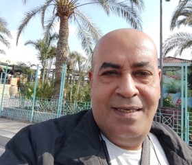 Mohamed, 56 лет, القاهرة