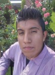 Rogelio, 29 лет, México Distrito Federal