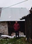 Михаил, 39 лет, Череповец