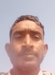 दिनेश, 38 лет, Ahmedabad