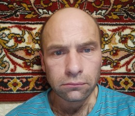 Владимир, 45 лет, Рыбинск