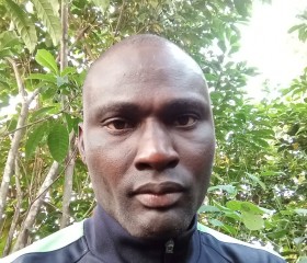 Goddey Onajite, 37 лет, Abuja