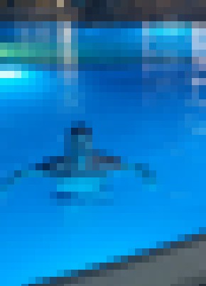 Шопат из Владикавказа 44 года