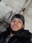 Miguel, 19 лет, Torreón