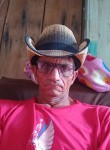 Santos, 58 лет, Araranguá