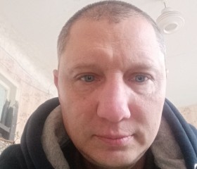 Анатолий, 40 лет, Артемівськ (Донецьк)