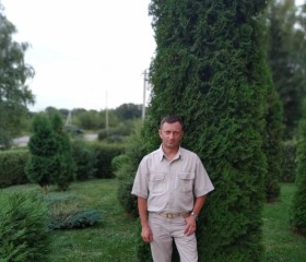 Виталий, 43 года, Алексин