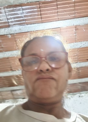Zeni Tolentino из Barra de São Francisco 51 год