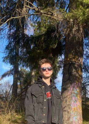 Denis, 27, Russia, Zvenigorod