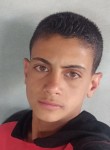 محمود, 19 лет, Gaziantep