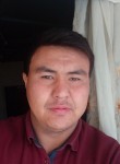 Ali95, 28 лет, Бишкек