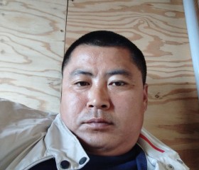 Mongol Kim, 40 лет, Артем