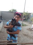 Eugenio7, 29 лет, Lima