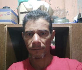Alex, 45 лет, Cachoeiro de Itapemirim