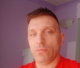 Дмитрий Шевченко, 43 года, Воронеж
