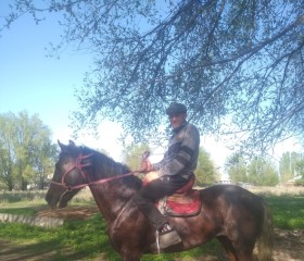 Валерий, 54 года, Бишкек