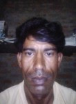 Chaturi Verma, 35 лет, Firozabad