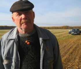 Николай, 71 год, Барнаул