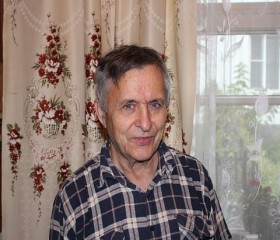 Михаил, 81 год, Богородицк