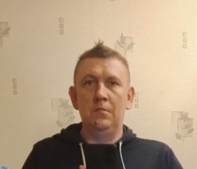 Dmitriy, 44, Saint Petersburg