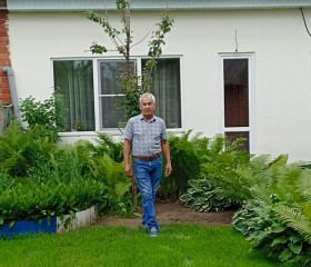 Александр, 63 года, Тольятти