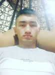 Бахадыр, 25 лет, Toshkent