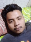 Dasmin Saputra, 29 лет, Djakarta