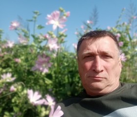Владимир Иванов, 58 лет, Новокузнецк