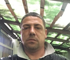 niko, 47, Pisa