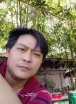 Tiên, 36 лет, Đà Nẵng