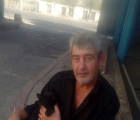Виктор, 54 года, Шымкент