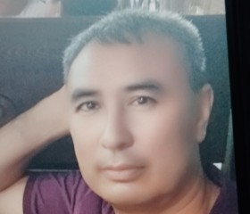 Алишер, 48 лет, Toshkent